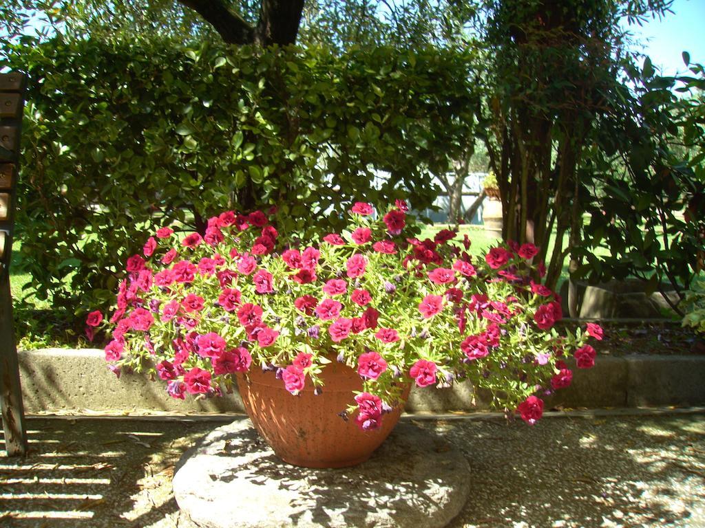 Tenuta Fagnani Λούκα Δωμάτιο φωτογραφία