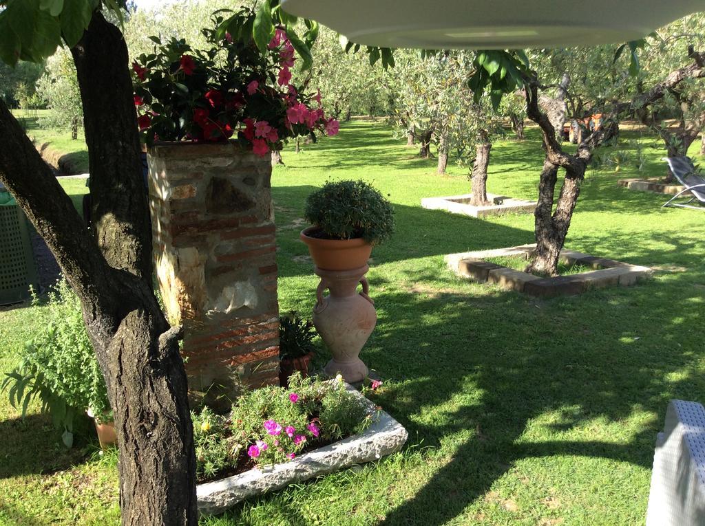 Tenuta Fagnani Λούκα Εξωτερικό φωτογραφία