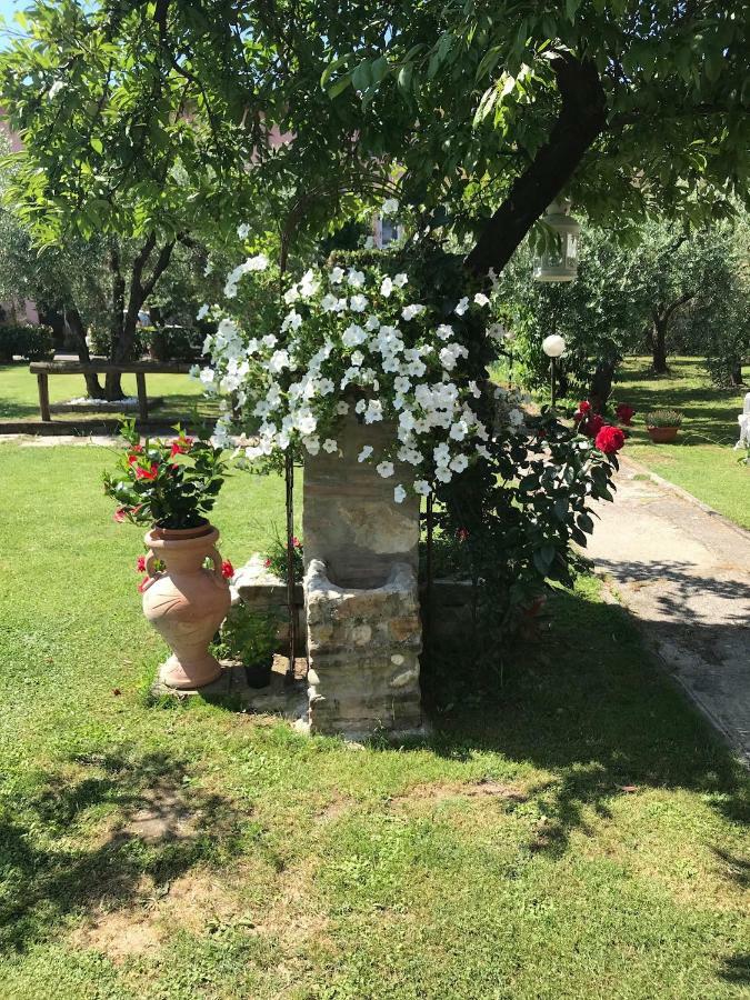 Tenuta Fagnani Λούκα Εξωτερικό φωτογραφία