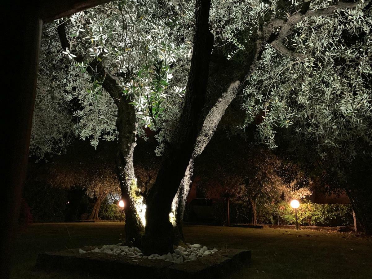 Tenuta Fagnani Λούκα Εξωτερικό φωτογραφία